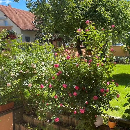 Ferienwohnung Am Eck Rust Buitenkant foto
